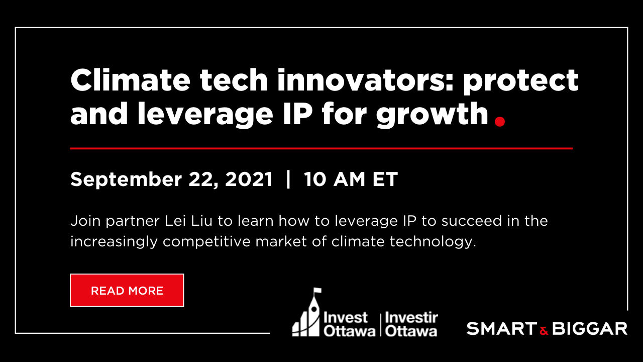 Climate tech innovators: protect & leverage your IP for growth
