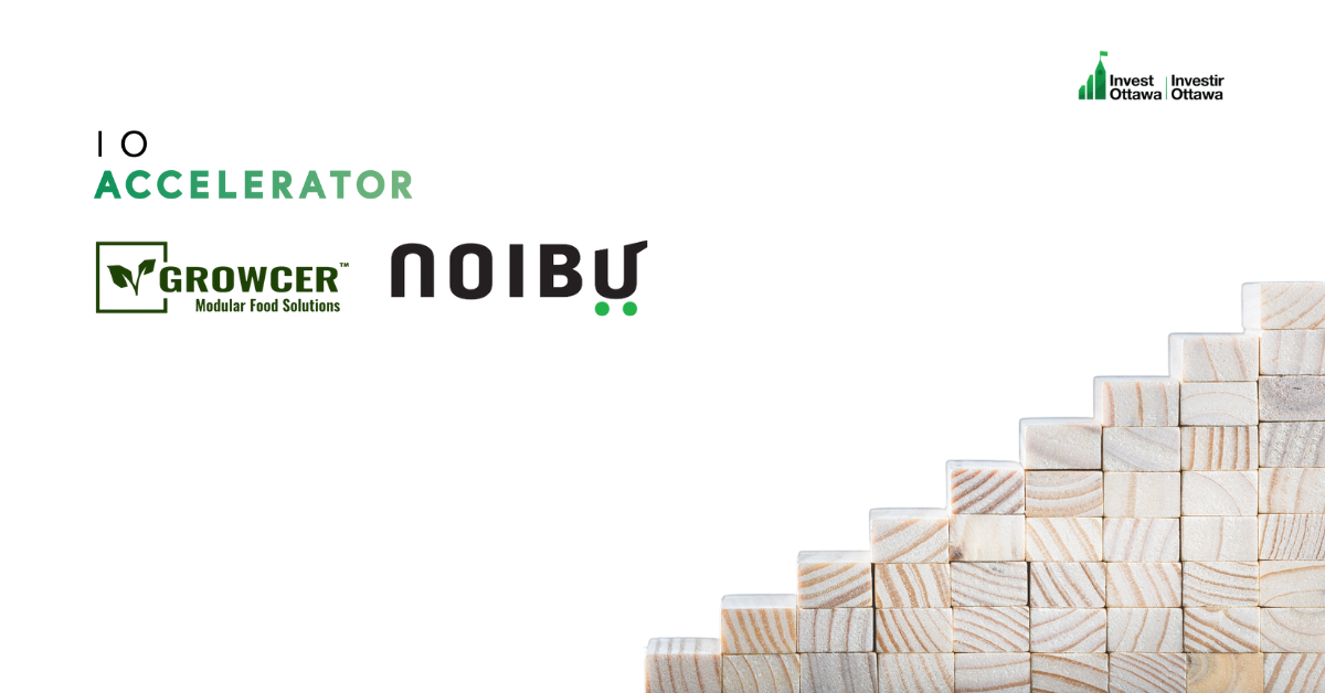 Startups Noibu and Growcer Celebrate Graduation from IO Accelerator Program