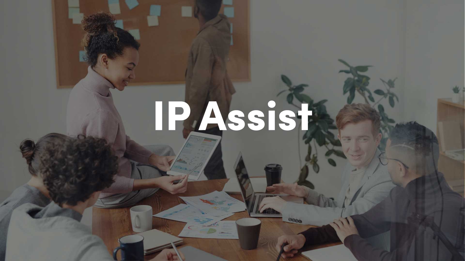 IP Assist Program