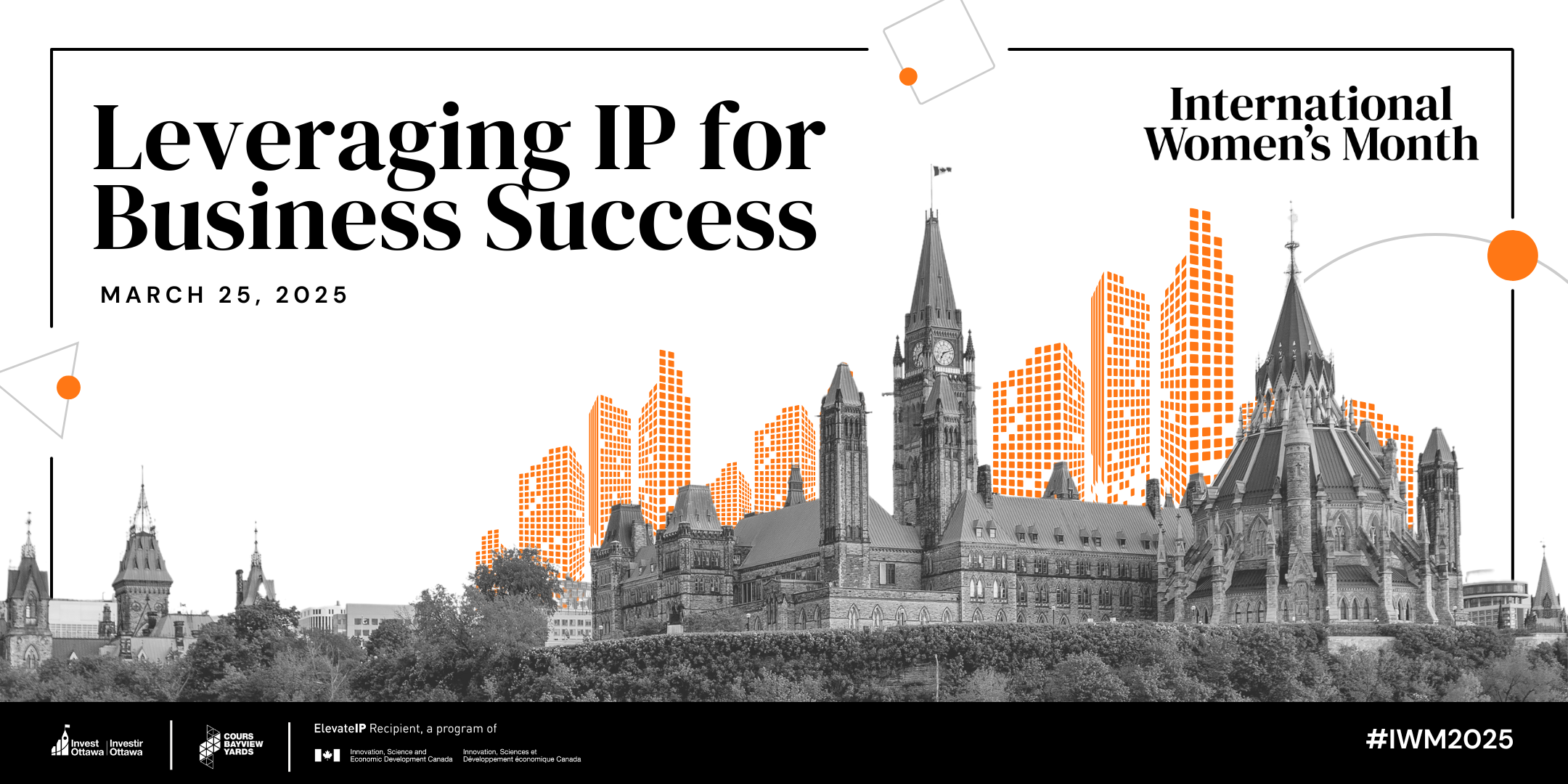 Leveraging IP for Business Success