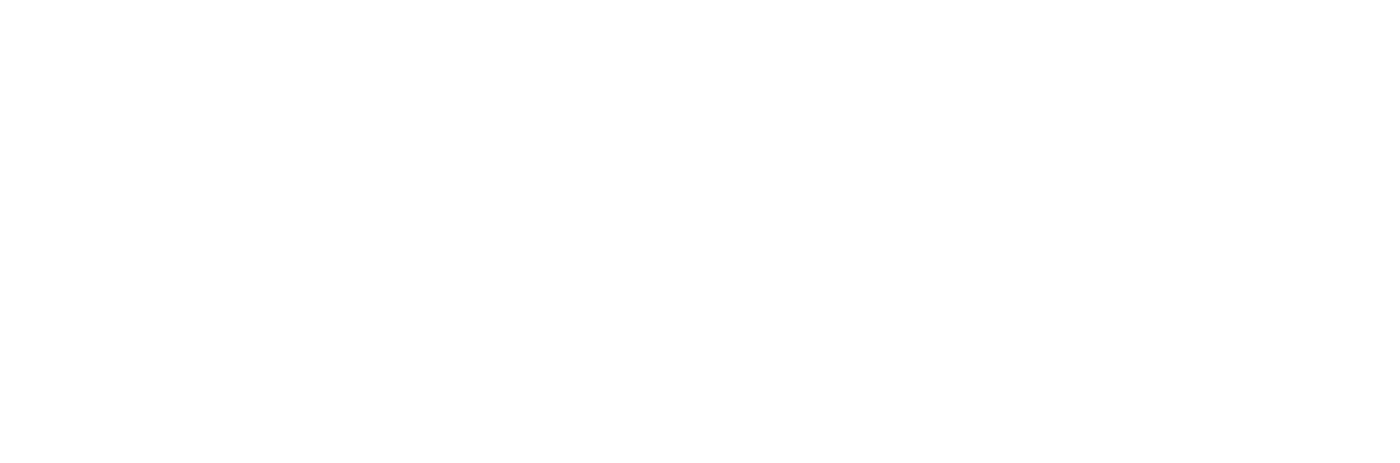 Tech Exec Talent Services logo