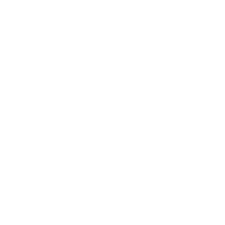 Downtown Rideau BIA logo