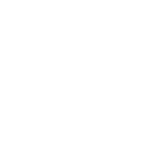 Immigrant Entrepreneur Canada logo