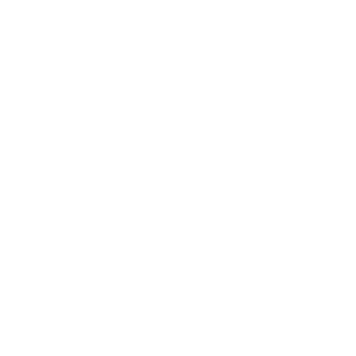 Syntronic logo