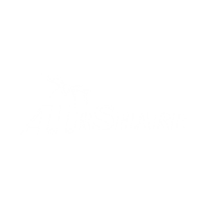 AirShare logo