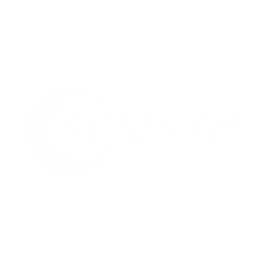 BluMetric logo