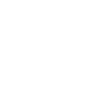 Ciena logo