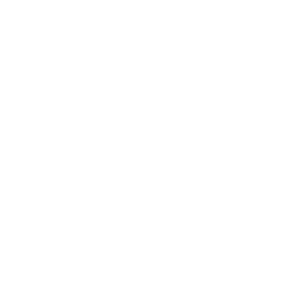 Ottawa Board of Trade logo