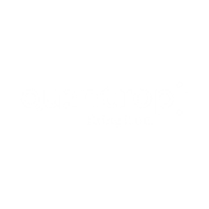 Quantropi logo