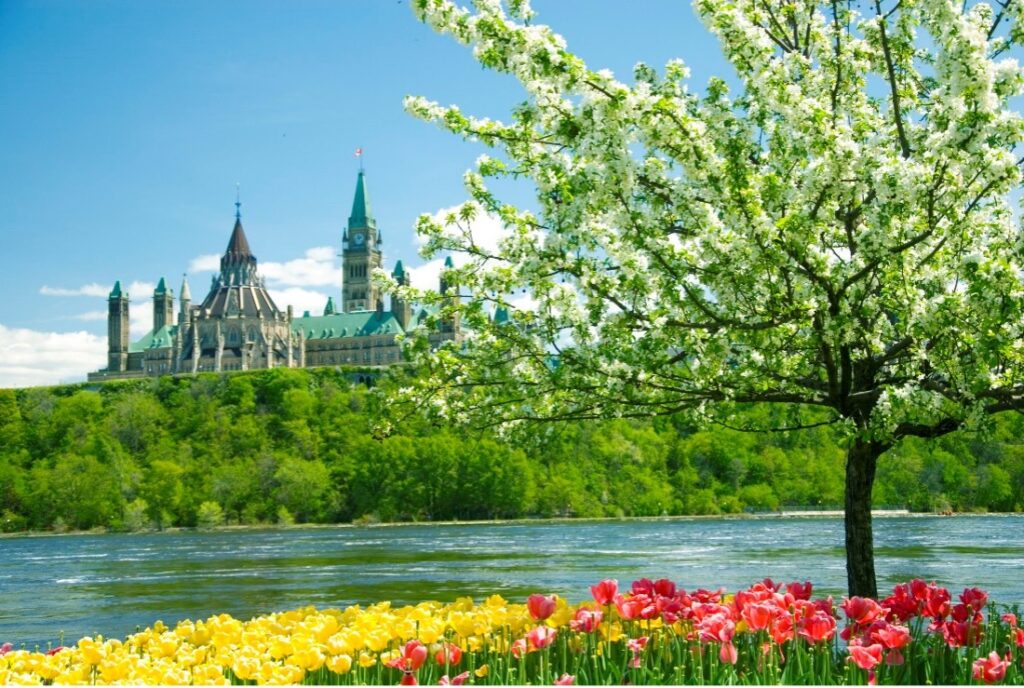 Invest Ottawa News Release